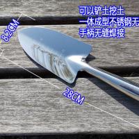 不锈钢小铲子种花工具家用盆栽铲土阳台移盆赶海花艺一体成型 不锈钢一体宽铲
