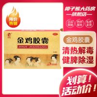 金鸡胶囊48粒0.35g*48粒 清热解毒 健脾除湿 通络活血 附件炎 本品1盒