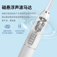 超声波洁牙器成人冲牙器水牙线去牙结石去除器电动牙刷洗牙神器 震动电池款[1个头]