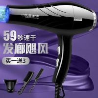 [发廊大风力]电吹风机大功率吹风筒家用不伤发冷热风静音理发店 典雅黑 [推荐]发廊强风专业版送3