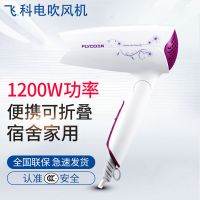 飞科电吹风机家用大功率发廊冷热风理发店不伤发学生电吹风筒 飞科1200W 原装标配