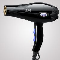 [蓝光负离子]电吹风机家用发廊理发店学生宿舍电吹风筒不伤发 金典蓝色没蓝光
