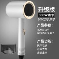 吹风机家用大小功率蓝光负离子学生宿舍护发电吹风筒冷热风不伤发 洁白如雪 宿舍推荐[功率800W]实惠