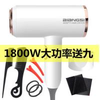 电吹风机家用发廊大功率理发店冷热风蓝光负离子不伤发静音吹风筒 [1800W安全升级版]家庭套装