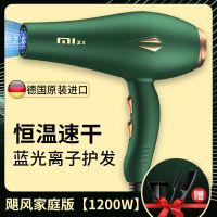 吹风机家用大小功率发廊大风负离子吹风筒电吹风静音学生宿舍 发廊专用护发负离子 飓风蓝光家庭版套装[1200w]