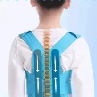 新款儿童学生揹背佳驼背矫正带小孩纠正坐姿预防驼背矫正器通用款 升级加强版[蓝色] S码[25-40斤]