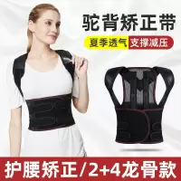 夏季揹背佳驼背矫姿带成人女男纠正背部坐姿矫正带学生矫正器神器 超透气款 S[50-85斤]