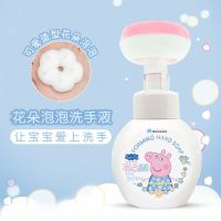 小猪佩奇花朵洗手液泡沫型按压瓶泡沫小花儿童学生抑菌消毒非免洗