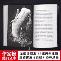 《白鲸》超级小说神作 所有你失去的都会以另一种方式归来 作家榜