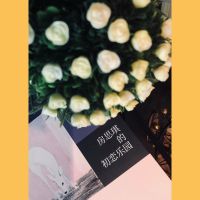 房思琪的初恋乐园 豆瓣9.2高分无删减