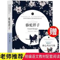 骆驼祥子 海底两万里 正版书无删减初中生七年级下册必读课外书目 骆驼祥子[送核心考点]
