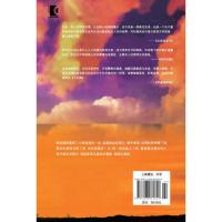 追风筝的人 当当 书