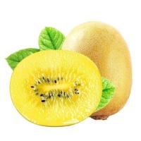 智利金果黄心猕猴桃新鲜奇异果孕妇水果当季整箱大果猕猴桃 单果90-110g 3颗试吃装