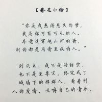 文豪野犬动漫经典语录情书翩翩体奶酪体男女学生楷书练字帖周边 簪花小楷 套餐一:具体见详情页