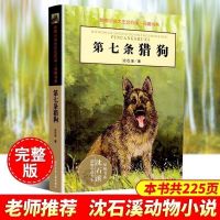 第七条猎狗正版沈石溪的书六年级动物小说单本非拼音物流年级 第七条猎狗