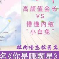 盐焗小星球 校草请留步 常冬著青春校园小说双向暗恋校园文书 试读页2张发图片