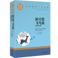 俗世奇人全本(足本)1+2+3册人民文学出版社冯骥才五六年级完整版 新月集 飞鸟集