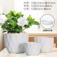 花盆陶瓷带托盘大号特价清仓简约家用绿萝多肉陶瓷花盆批发 大白三件套[送塑料托盘]