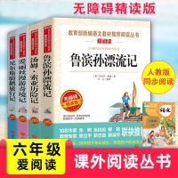 六年级下册必读课外书汤姆索利亚历险记爱丽丝漫游奇遇记骑鹅旅行 天地出版 六年级下册 4本