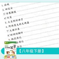 初中生字帖八年级上下册语文部编人教版中学生同步钢笔楷书练字帖 八年级上册语文