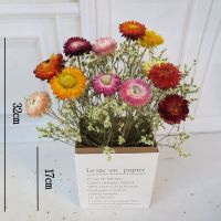 天然真花多头玫瑰泡泡干花蔷薇花束复古森系装饰生日礼物拍照搭配 12头雏菊+水晶草+高17cm纸袋