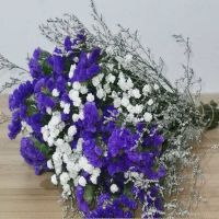 满天星干花花束客厅装饰摆件真花鲜花永生花云南直发批发生日礼物 白满+紫色勿+草 不含 花瓶