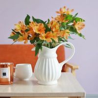 云南昆明基地直发洋甘菊鲜花花束家用水养花小雏菊插花生日花束 六出花菊10只收藏送保鲜