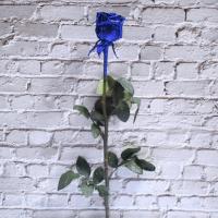 单支玫瑰花蓝色妖姬干花花束永生花毕业季教师节父亲节生日礼物 一支蓝色妖姬长50-55cm