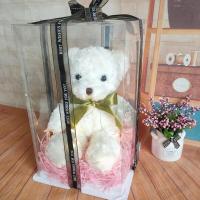 [高端礼盒]泰迪熊毛绒玩具小熊儿童公仔情人节送女友生日礼物女 新款ins风一[领结丝带白熊] *3O厘米一[简单包装]*