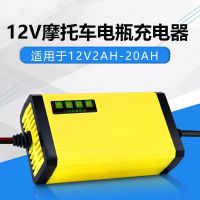 汽车电瓶电动车12V踏板摩托充电器12V20蓄电池充电机干水通用 升级版跑马灯12V4-20AH大夹子