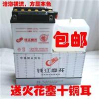 125摩托车电瓶12V铅酸蓄电池三轮车125跨骑车弯梁踏板摩托车 QJ12N4-3B老年车