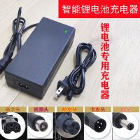 电动滑板车哈雷老年代步车代驾车锂电池充电器54.6v48v36v24v通用 24V航空头