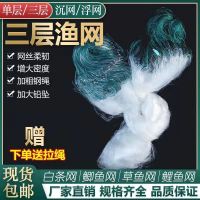 渔网丝网鲫鱼鲢鱼白条草鱼网沾网三层沉网单层浮网挂子鱼网粘鱼网 单层浮网[长12米高1米]一指