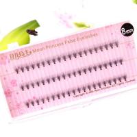 (送胶)月儿公主鱼尾嫁接朵毛单株仙女毛自然素颜仿真a型毛假睫毛 朵毛 8mm 没有赠品(收藏送普通小样胶水)