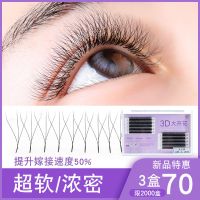 0.03Y三叶草嫁接睫毛 3D仙女款一秒开花 0.03三叶草超细软水貂毛