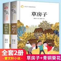 全套2册 草房子正版原著完整版 青铜葵花曹文轩系列 适合小学三四五六年级必读 小学生课外阅读书籍 初中生看的书和初中版下