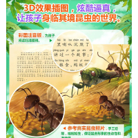 正版全套10册法布尔昆虫记 彩绘注音版 一年级课外书必读二三年级6-12岁少儿图书科普百科 小学生十万个为什么故事儿童