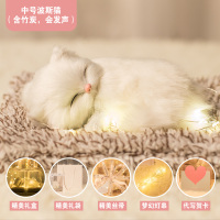 生日礼物女仪式感送女孩闺蜜毕业小众又高级的实用特别走心有意义 中号波斯猫--会发声(送精美礼盒+灯串+手提袋+贺卡)