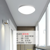 阳台灯简约现代走廊灯过道创意个性圆形走郎楼梯玄关灯led吸顶灯 高边白 正白光 直径19cm 12瓦