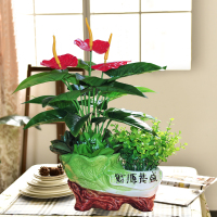 仿真绿植物盆栽塑料仿真花假花摆设家居客厅电视柜茶几装饰品摆件 白菜陶瓷花盆红掌仿真绿植