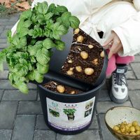 土豆种植盆生姜蔬菜种植塑料花盆盆栽家庭阳台庭院种植加厚优质 黑色 小