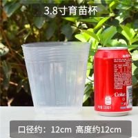 蝴蝶兰专用花盆铁皮石斛盆兰花盆洋兰盆透气透明塑料盆防烂根 透明育苗杯(口径约12cm) 5个装