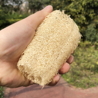 丝瓜瓤洗碗丝瓜络丝瓜布洗碗刷天然老丝瓜藤洗碗布干丝瓜巾百洁布 8-10cm[6条]