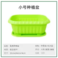 种菜盆神器家庭阳台塑料槽室内花盆小香葱生菜空心菜蔬菜种植套餐 小绿盆一个 中等