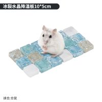 小宠冰垫兔子仓鼠龙猫荷兰猪豚鼠冰床凉席夏天降温板宠物降暑用品 蓝色1片 10*5cm