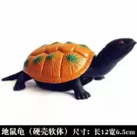 仿真海洋动物模型乌龟软体硬壳乌龟 塑胶仿真动物玩具认知模型 地鼠龟(硬壳软体)