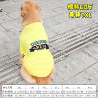 大狗狗衣服春秋冬装加绒厚款保暖装金毛犬萨摩耶中大型犬拉布拉多 吃饭第一夏款 3XL(建议18-26斤)