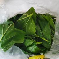 新鲜桑叶2021年批发蚕宝宝桑叶饲料活体小蚕嫩桑叶现摘现发大份量 桑叶1000g