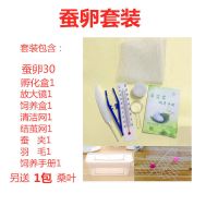 蚕宝宝桑叶活体幼蚕七彩蚕套餐学生科普养蚕新鲜桑叶小蚕 蚕卵30套装（中通