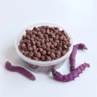 彩色蚕宝宝变色颗粒饲料天然新配方代替新鲜桑叶大小盒七彩蚕饲料 紫色蚕饲料(大盒装)